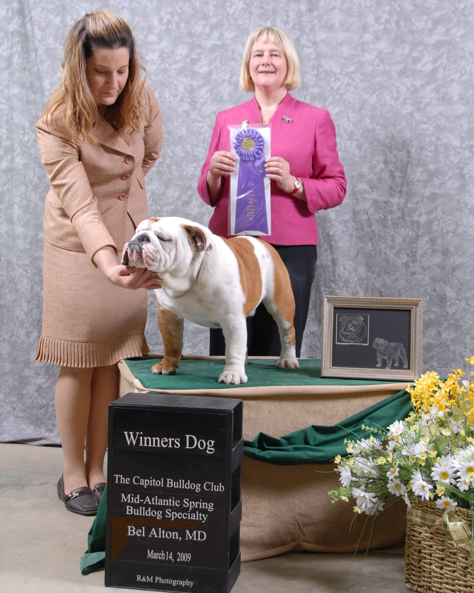 Winners Dog