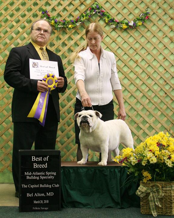 Best of Breed