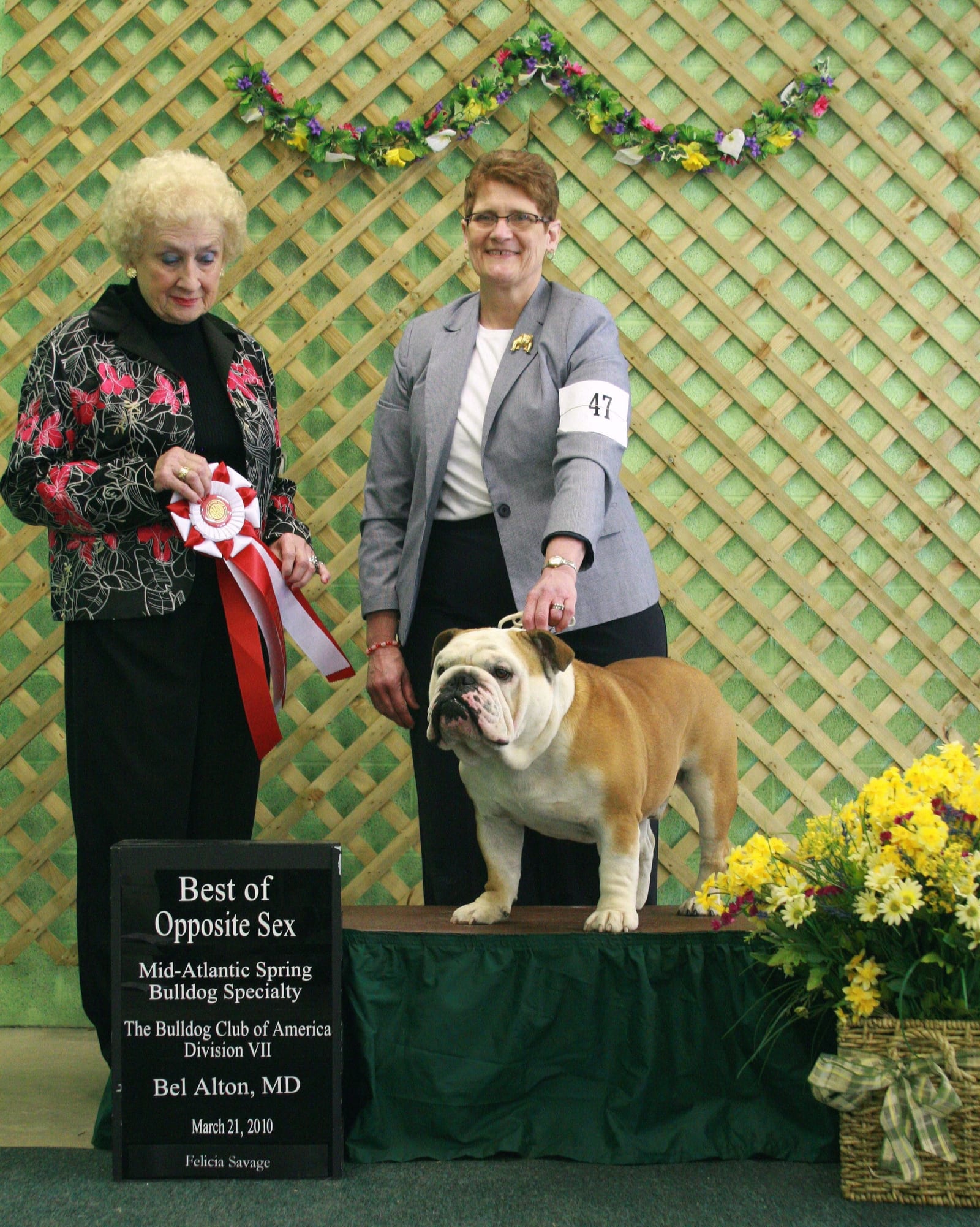 Best of Opposite Sex