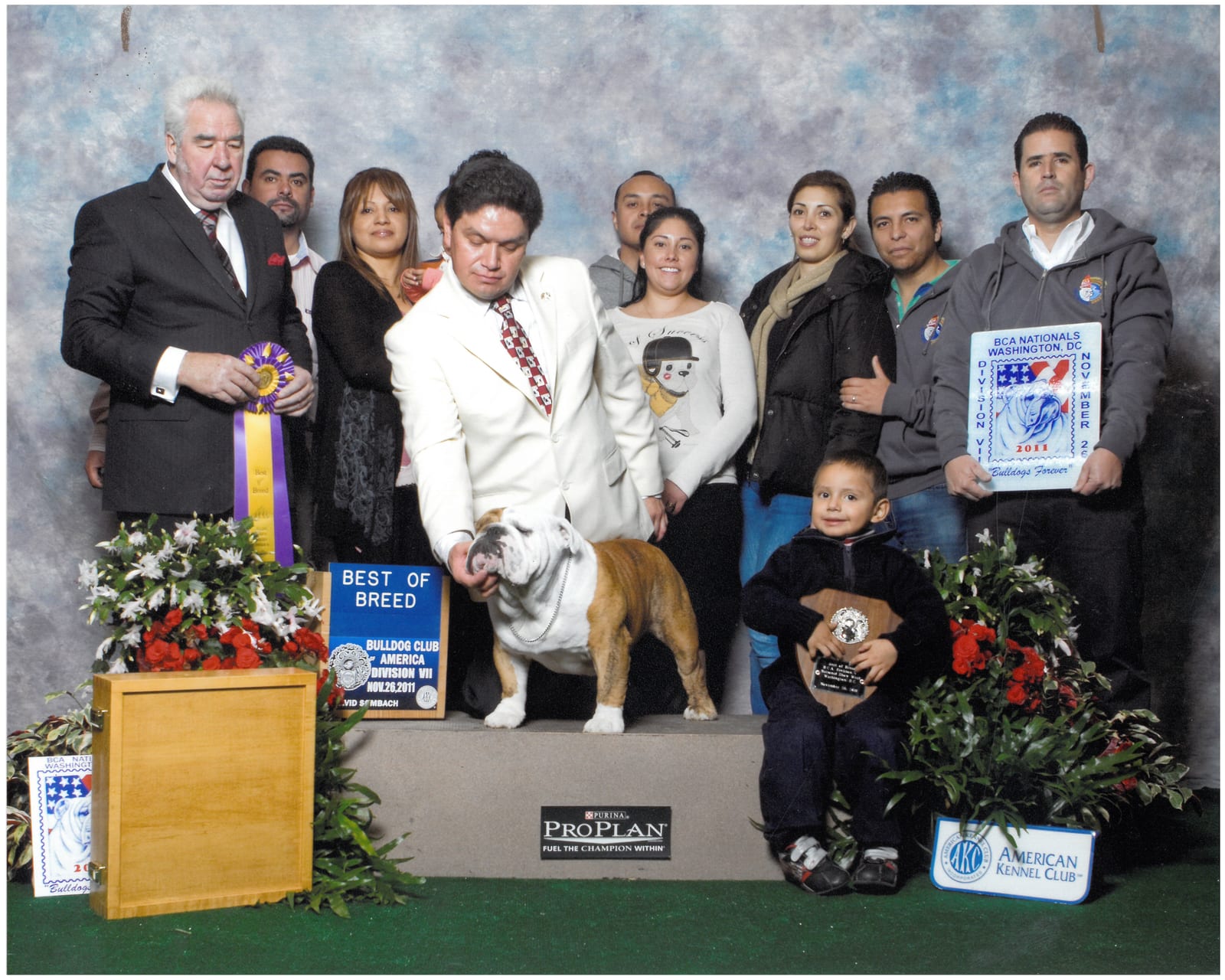 Best of Breed
