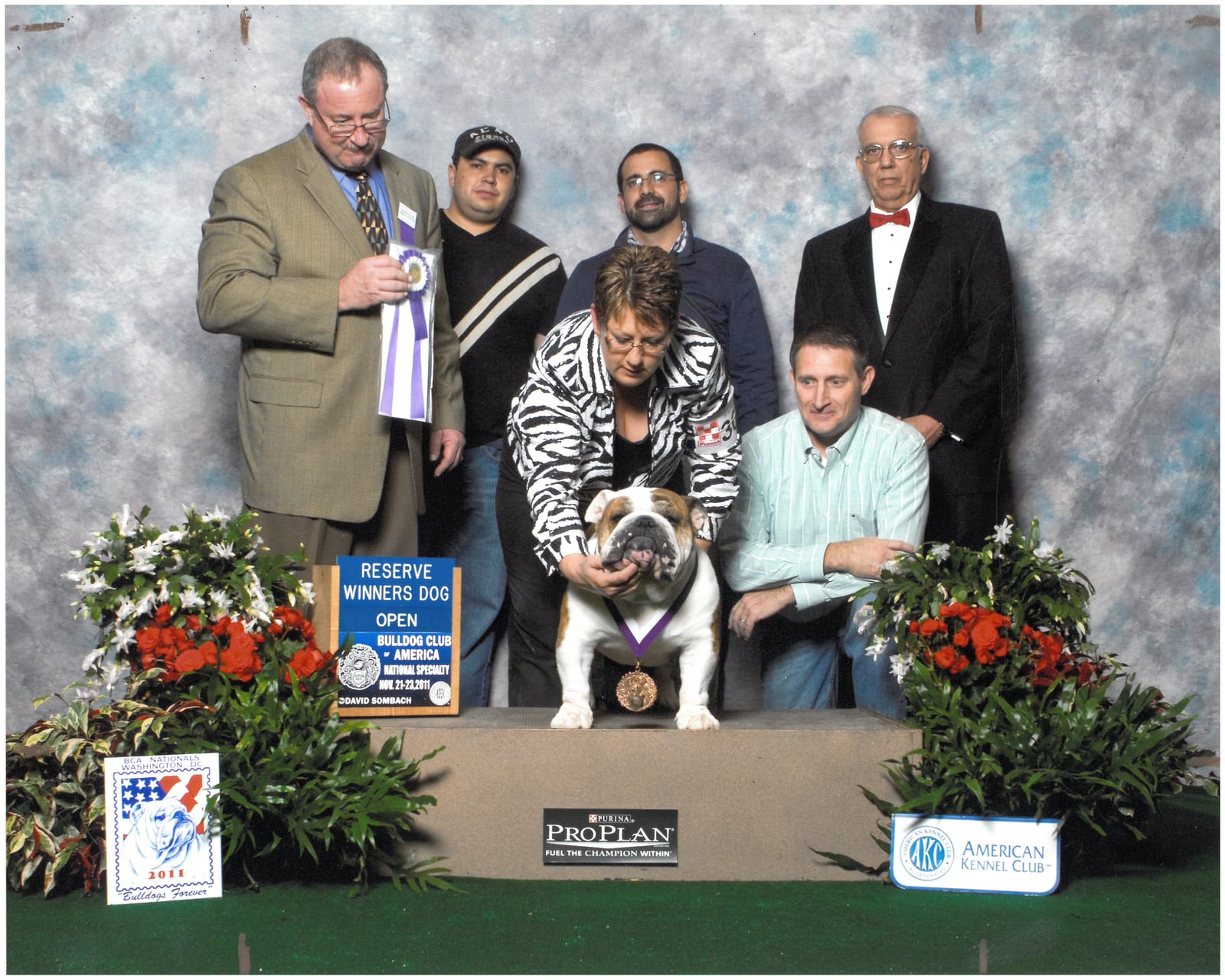 Reserve Winners Dog