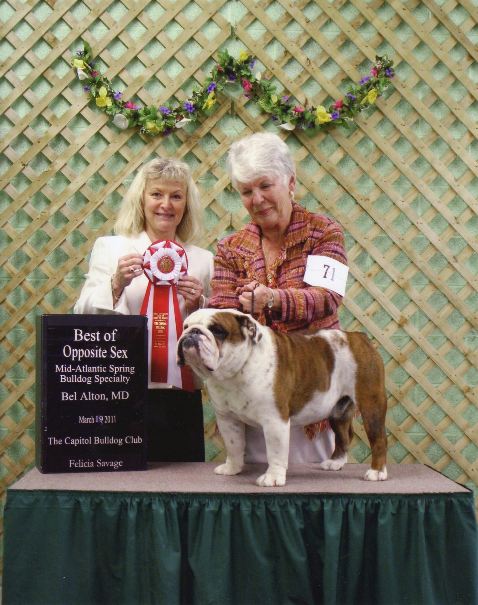 Best of Opposite Sex