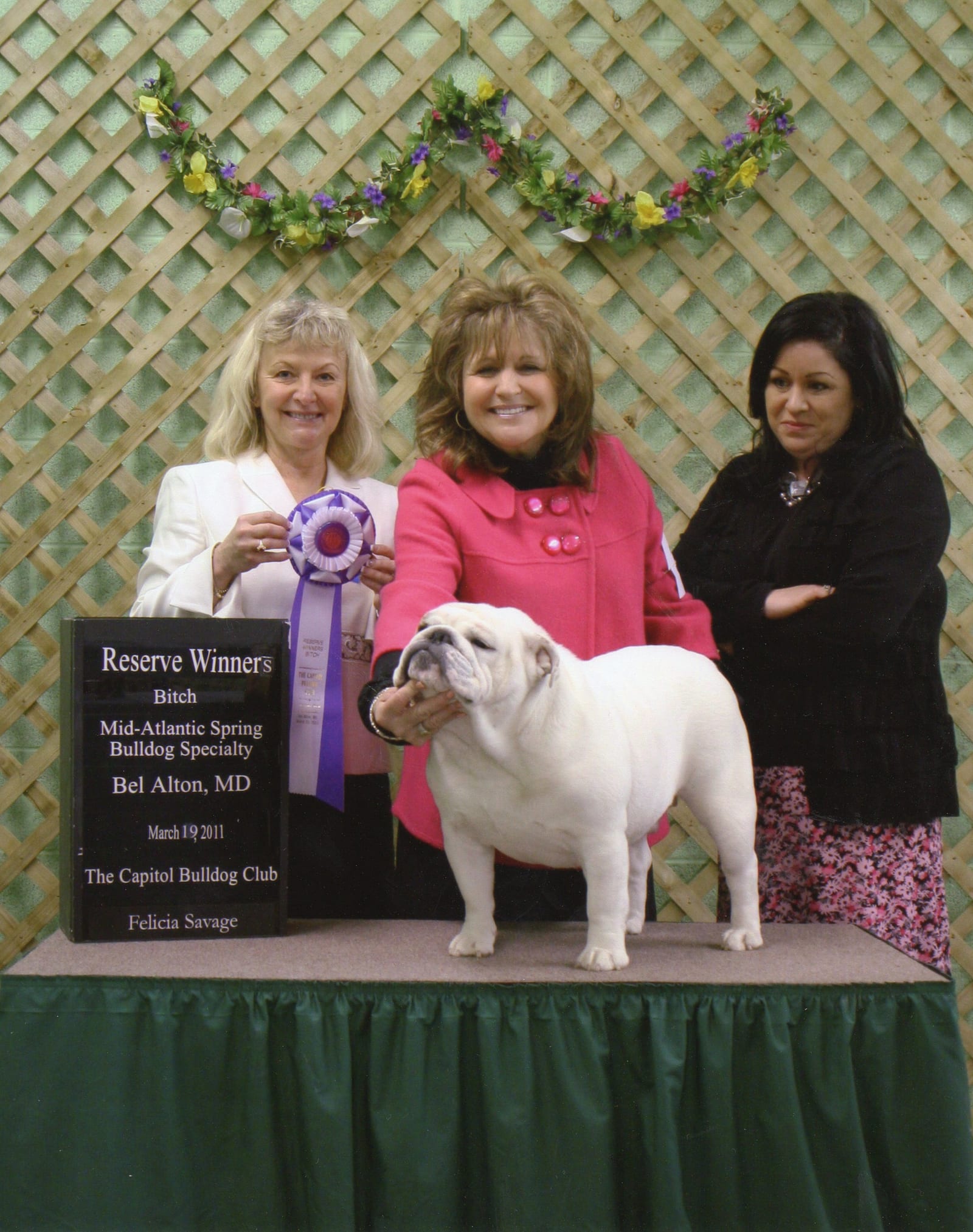 Reserve Winners Bitch