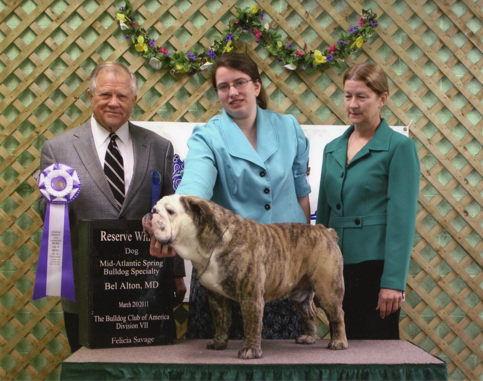 Reserve Winners Dog