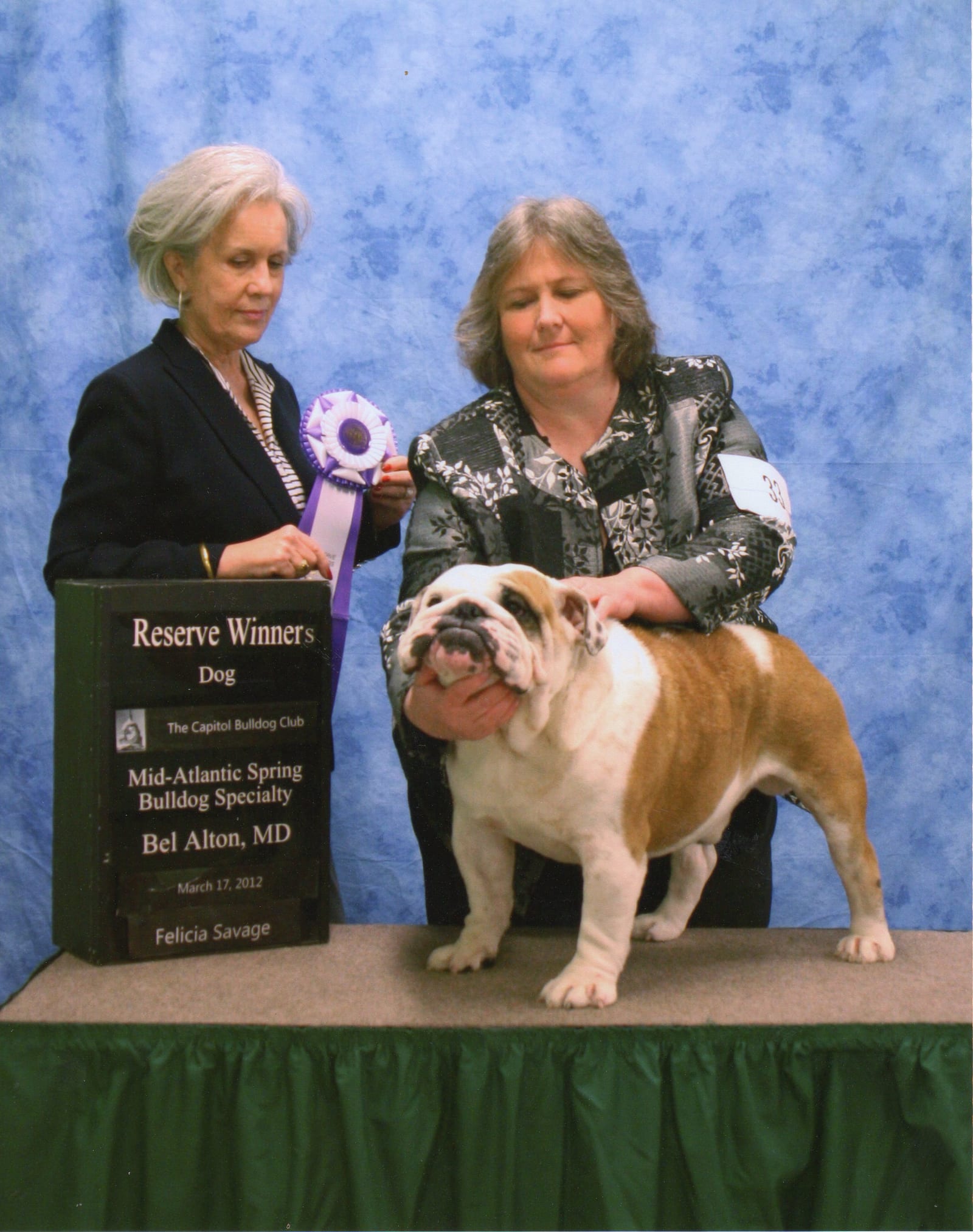 Reserve Winners Dog