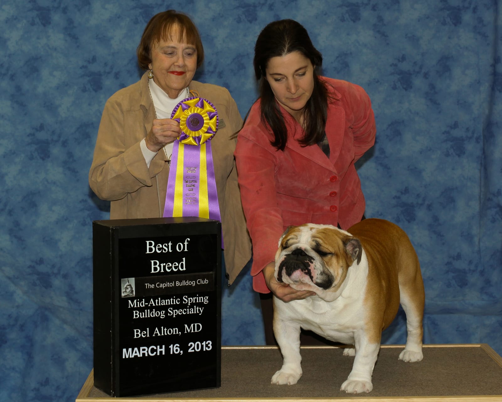Best of Breed