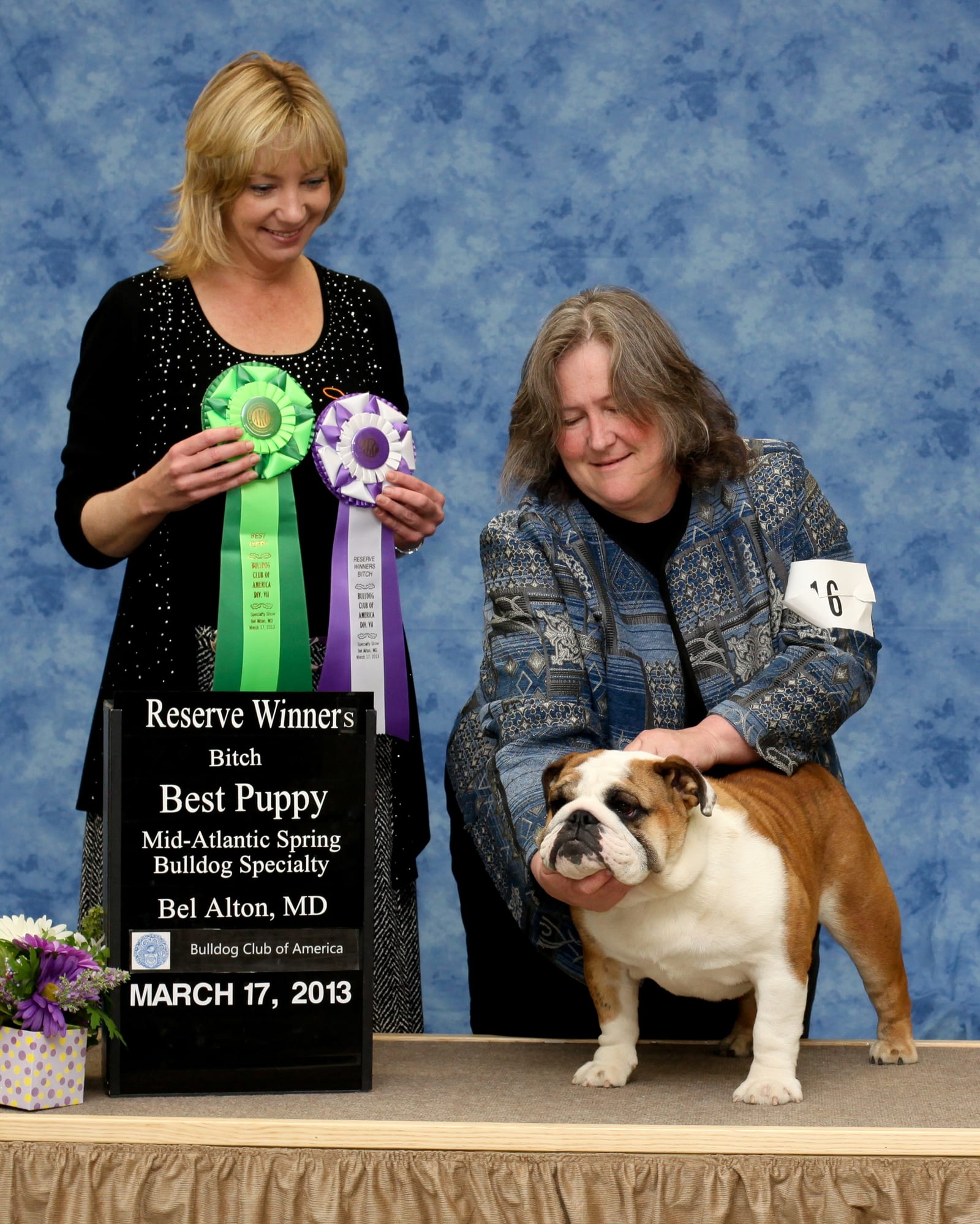 Reserve Winners Bitch