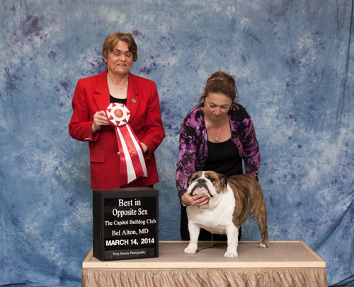 Best of Opposite Sex