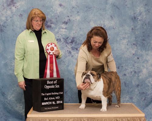 Best of Opposite Sex