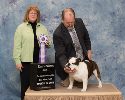 Reserve Winners Bitch