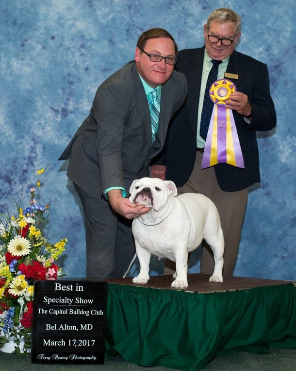 Best of Breed