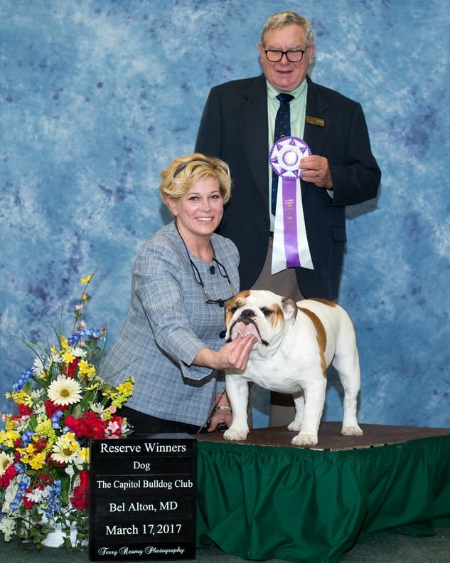 Reserve Winners Dog
