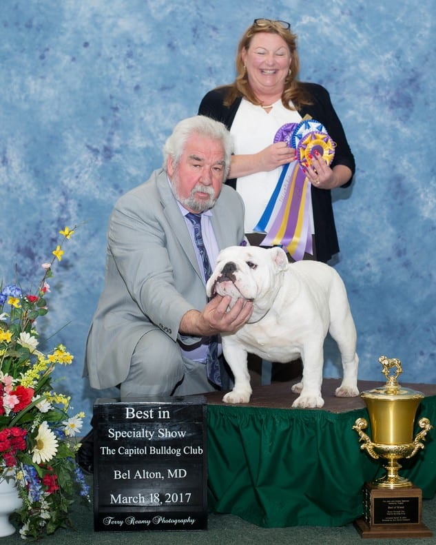 Best of Breed