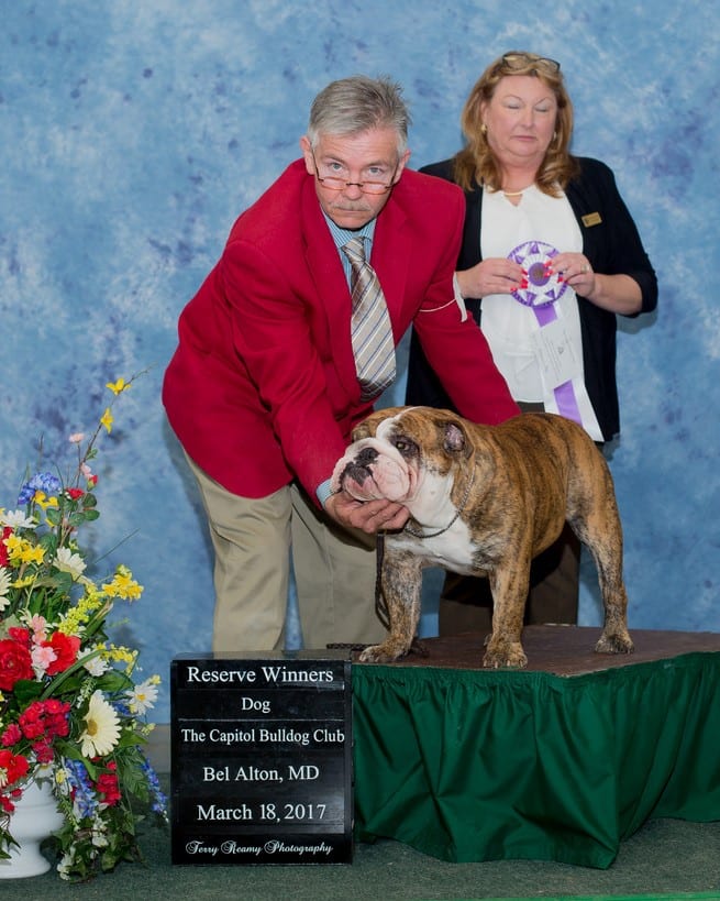 Reserve Winners Dog