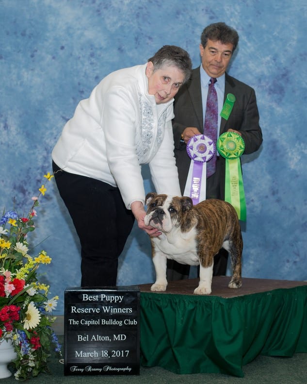 Reserve Winners Bitch