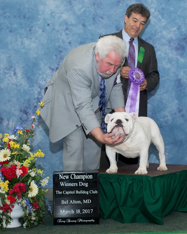 Winners Dog
