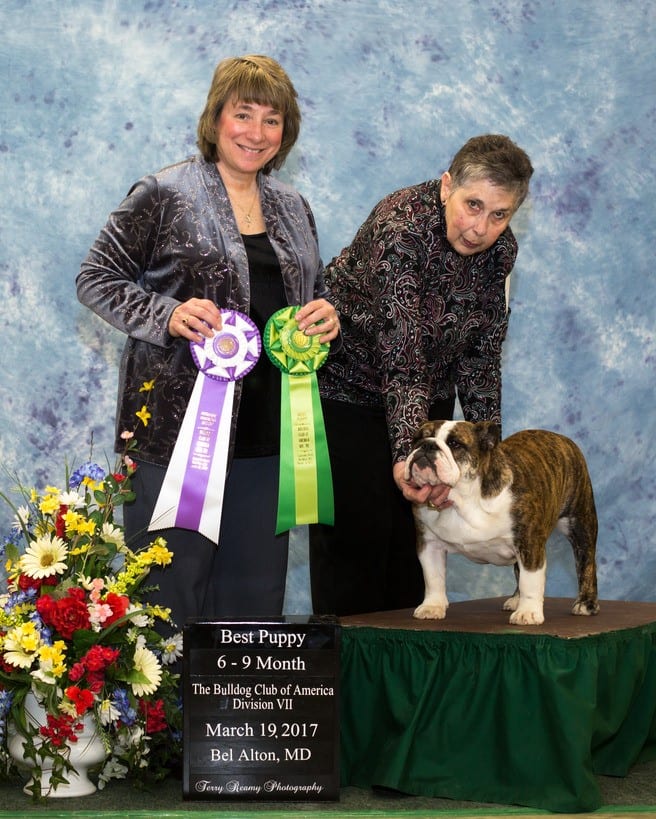 Reserve Winners Bitch