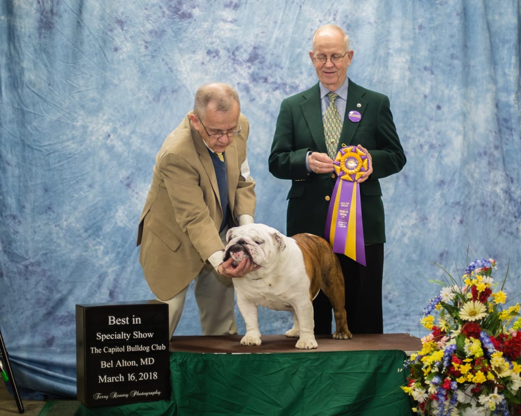 Best of Breed