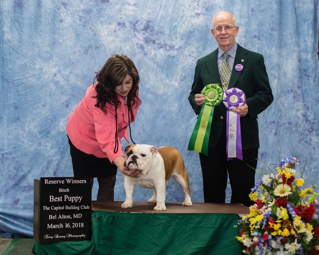 Reserve Winners Bitch