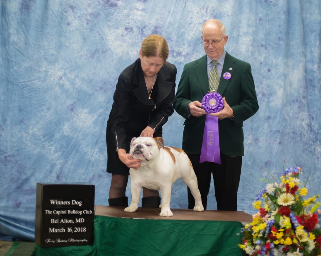 Winners Dog