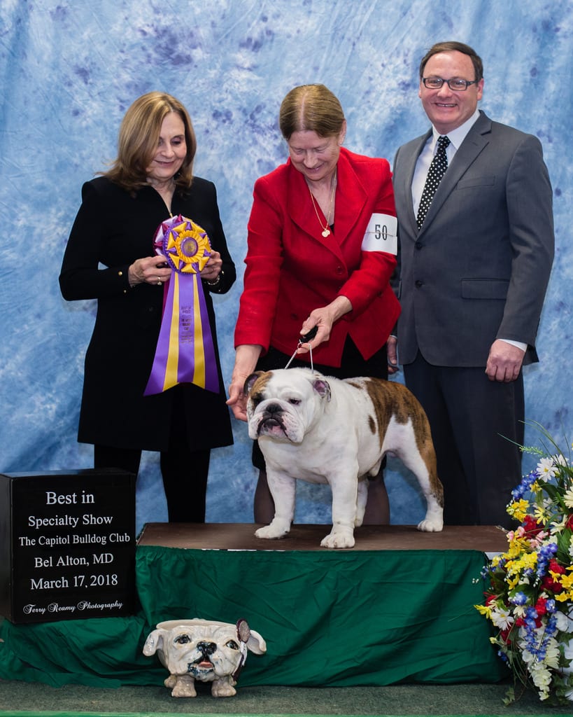 Best of Breed