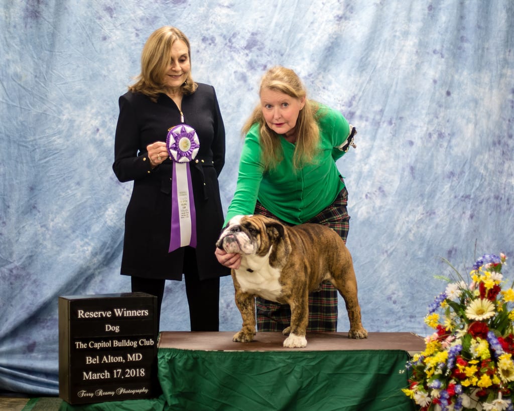 Reserve Winners Dog
