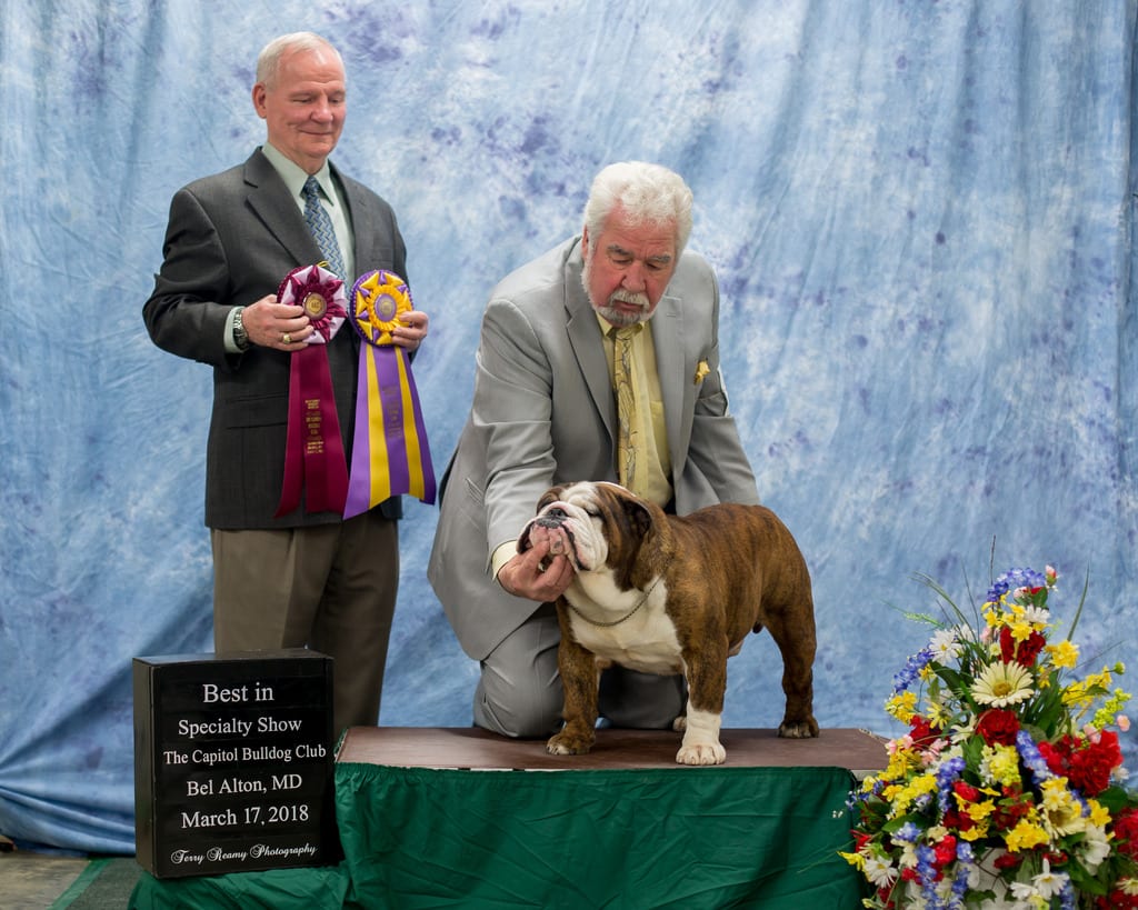 Best of Breed