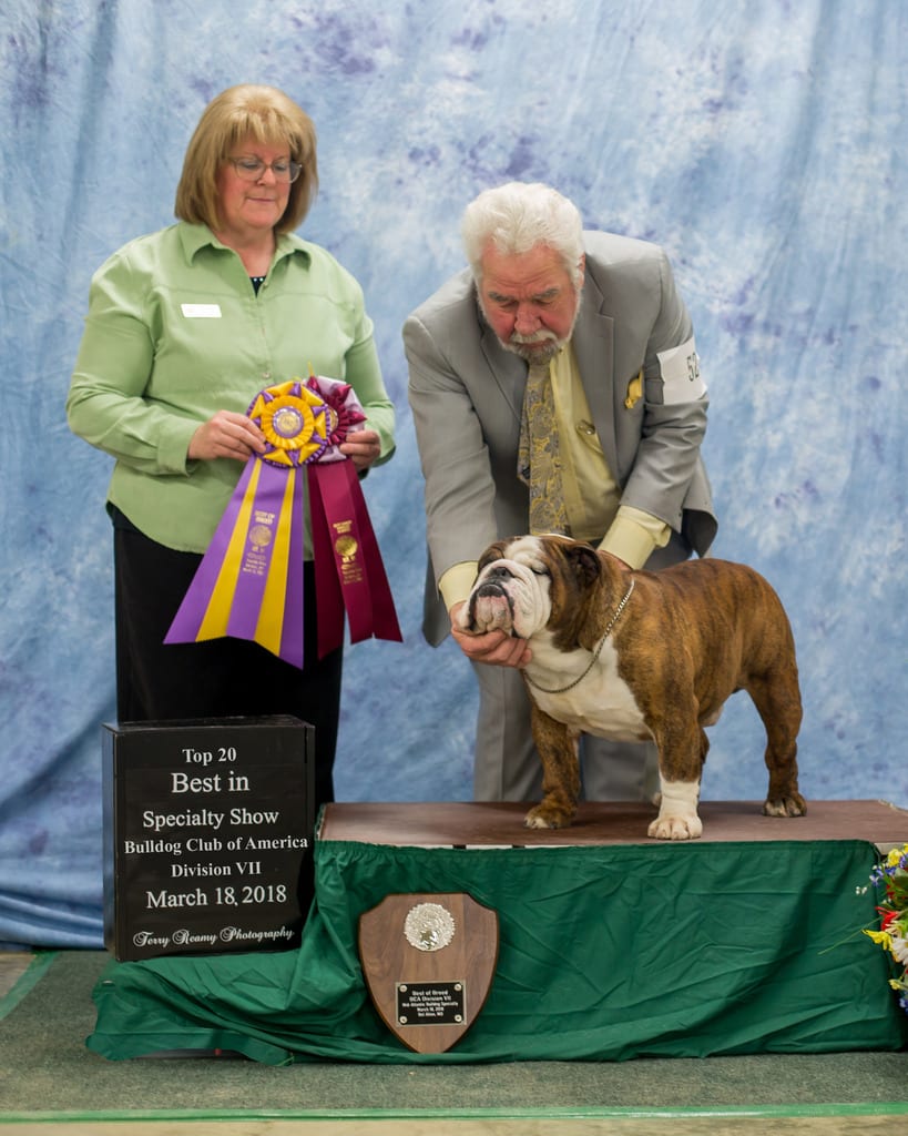 Best of Breed