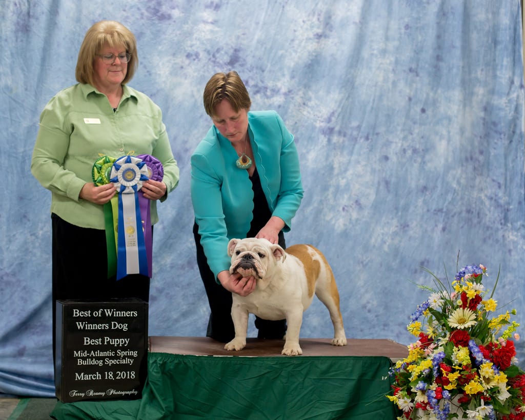 Best of Winners