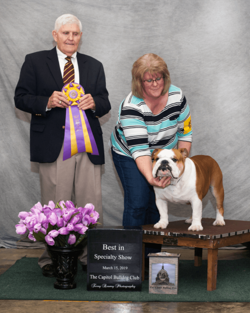 Best of Breed