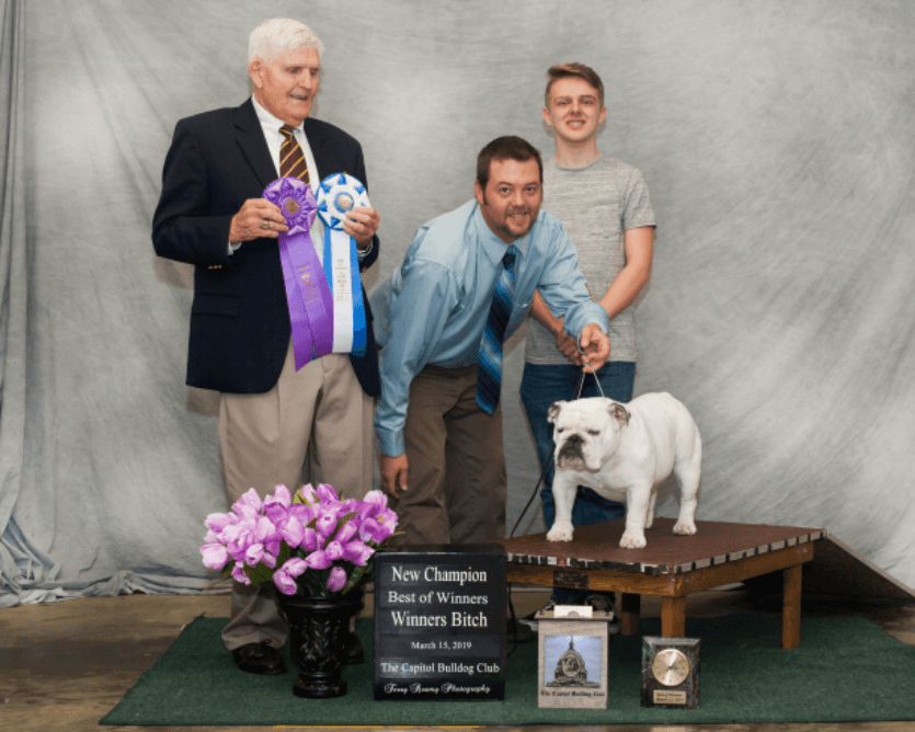 Best of Winners