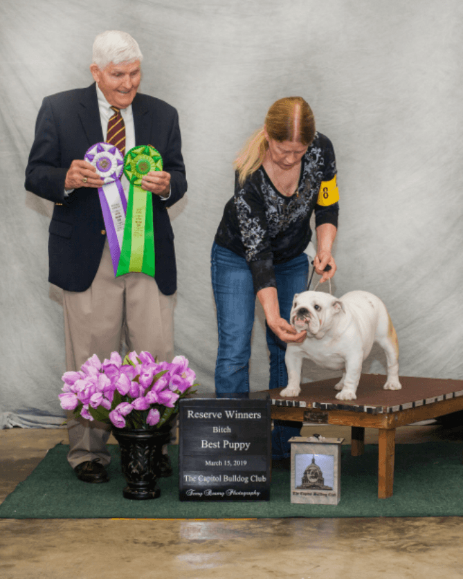 Reserve Winners Bitch