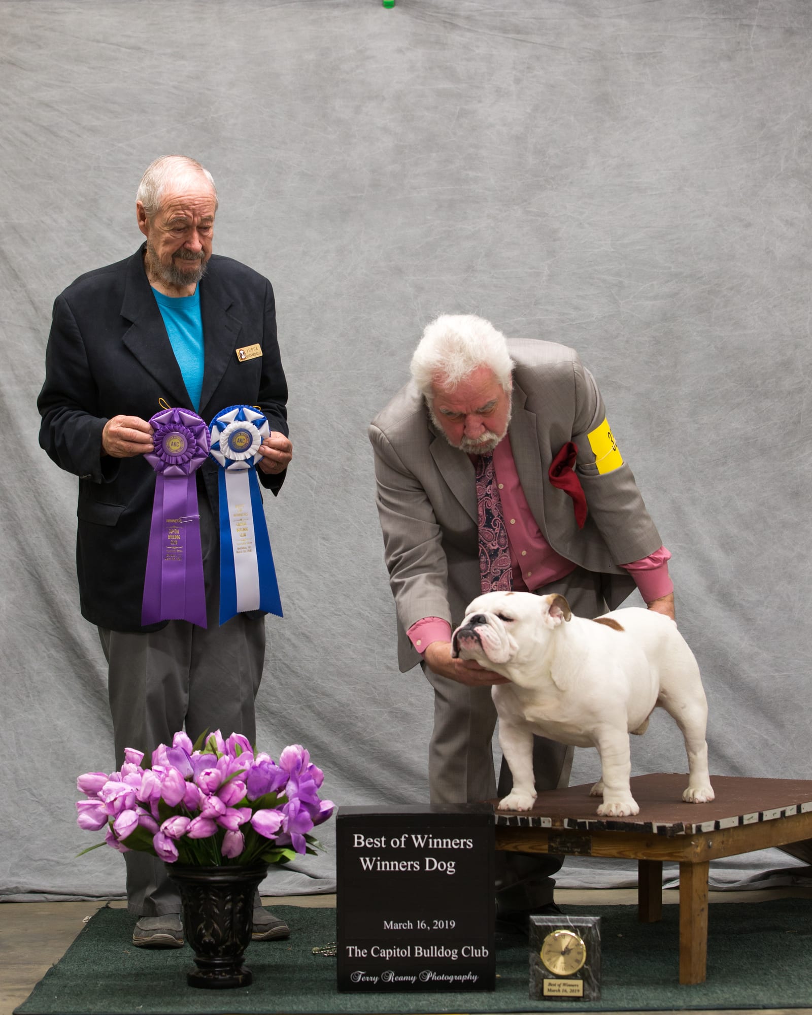 Best of Winners