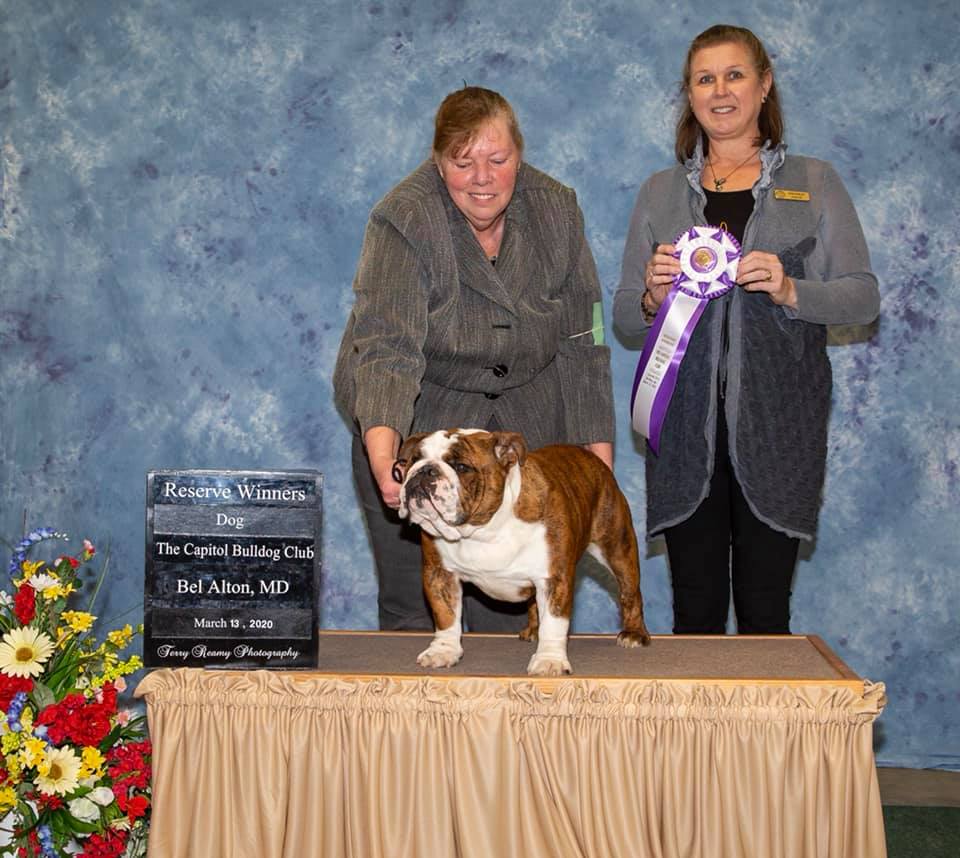 Reserve Winners Dog
