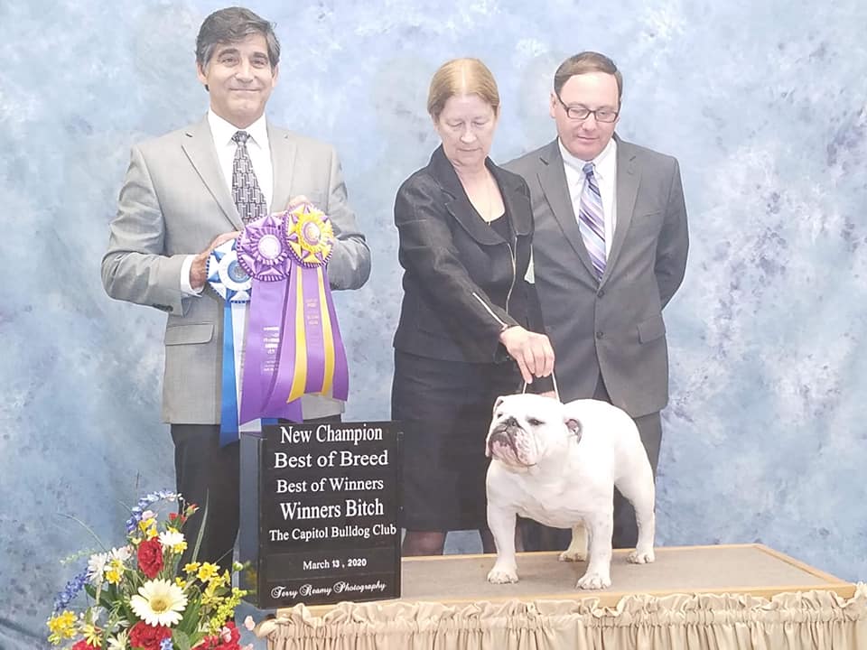 Best of Breed
