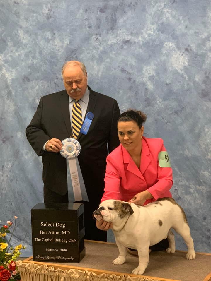Select Dog