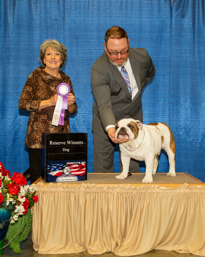 Reserve Winners Dog