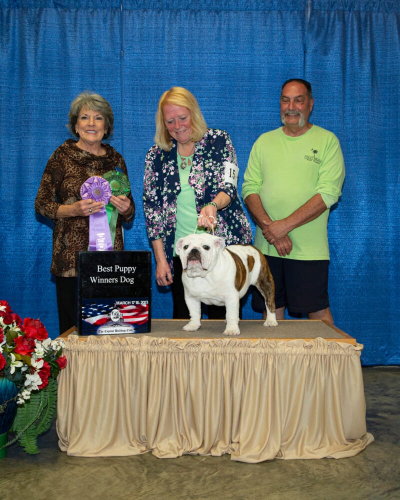 Winners Dog