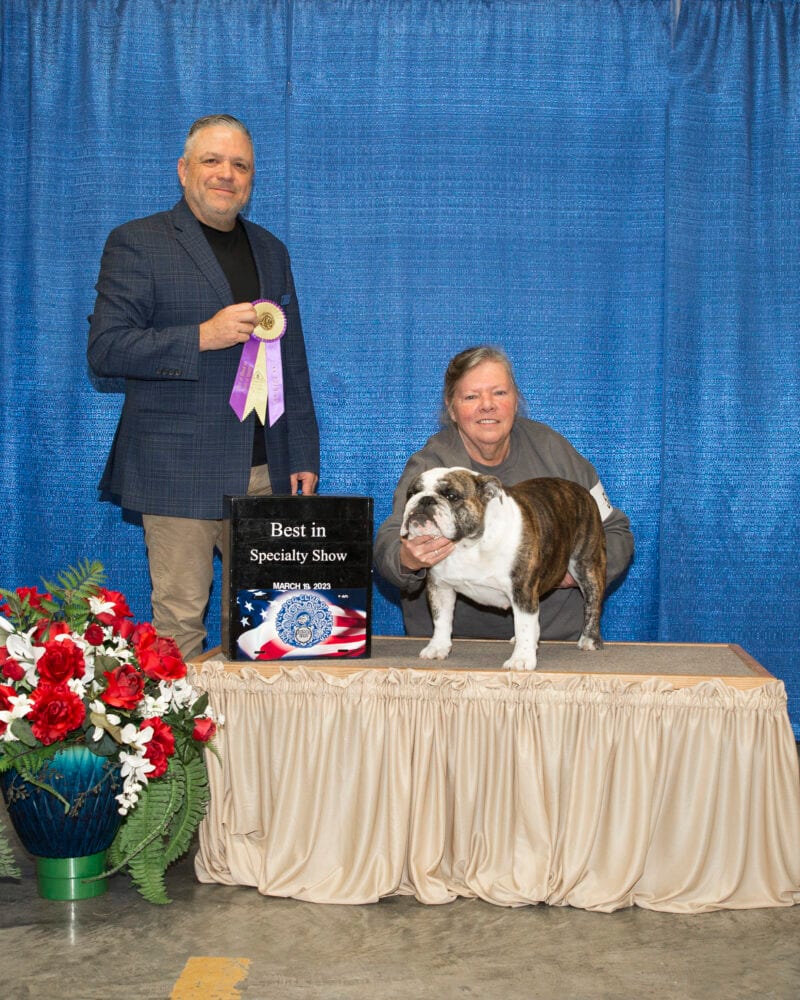 Best of Breed
