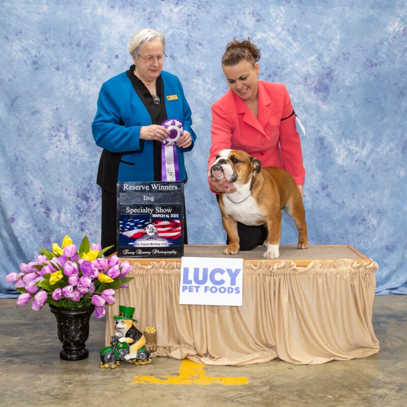 Reserve Winners Dog