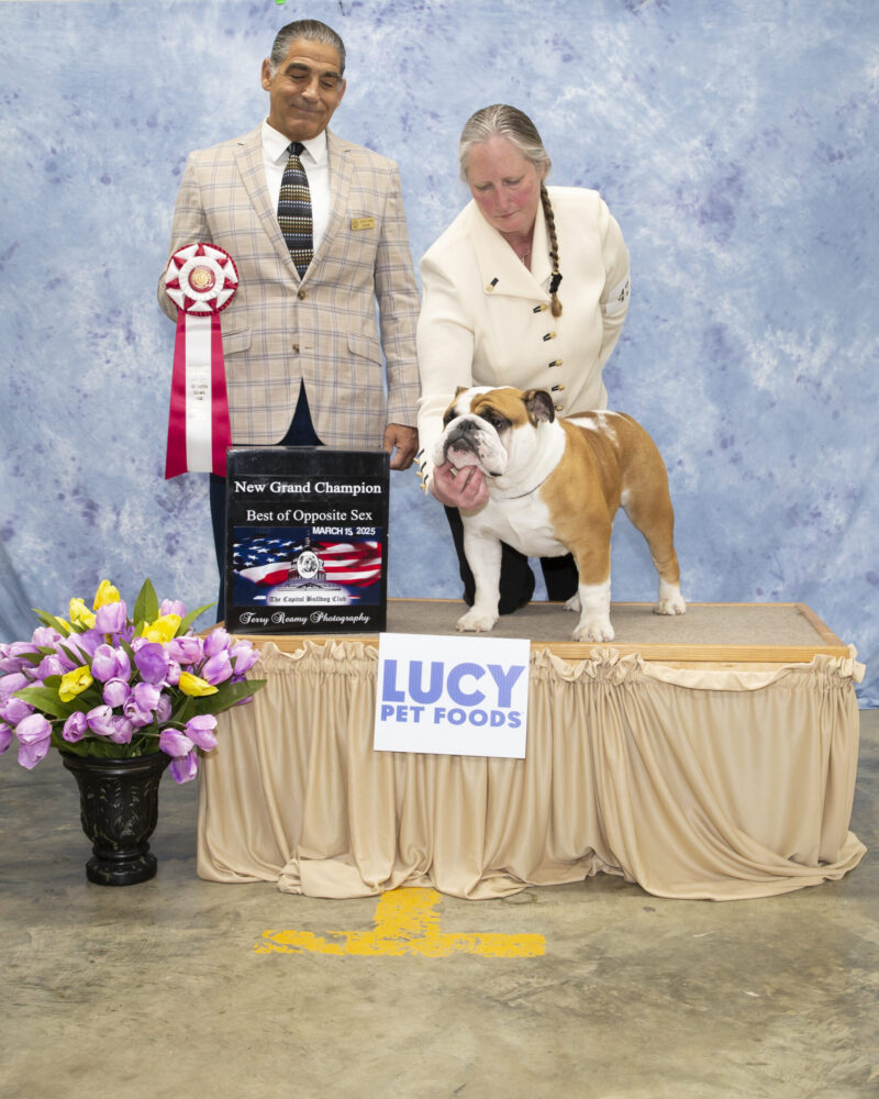 Best of Opposite Sex